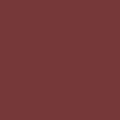 AF-300: Dinner Party a paint color by Benjamin Moore avaiable at Clement's Paint in Austin, TX.