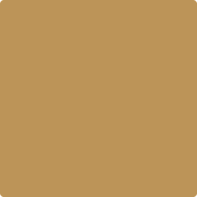 AF-350: Kurkuma a paint color by Benjamin Moore avaiable at Clement's Paint in Austin, TX.