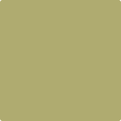 AF-420: Agave a paint color by Benjamin Moore avaiable at Clement's Paint in Austin, TX.
