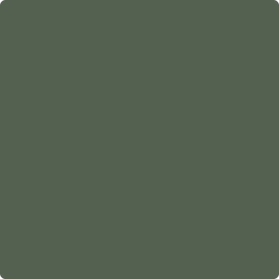 AF-480: Boreal Forest a paint color by Benjamin Moore avaiable at Clement's Paint in Austin, TX.