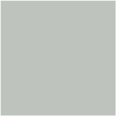 AF-490: Tranquillity a paint color by Benjamin Moore avaiable at Clement's Paint in Austin, TX.