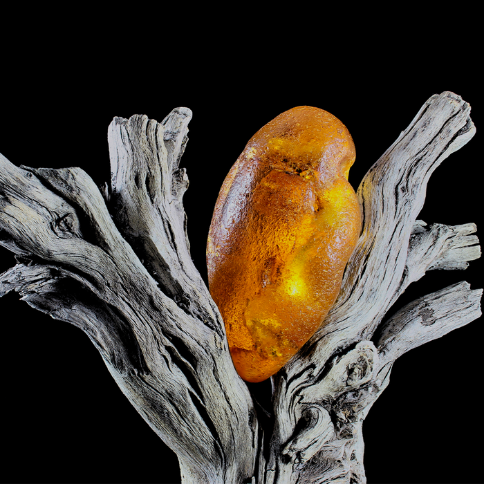 Amber & Oakmoss Fragrance Oil 544