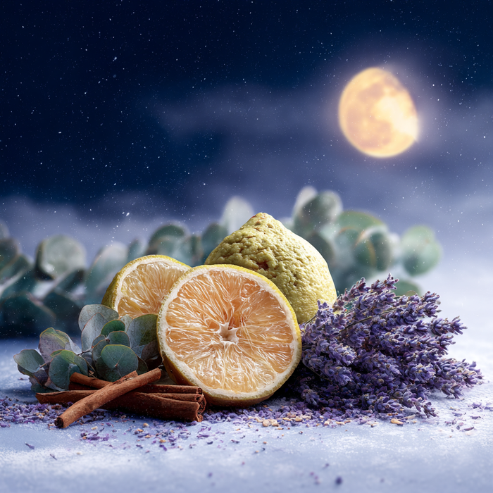 Celestial Chill Fragrance Oil 1126 - extra view