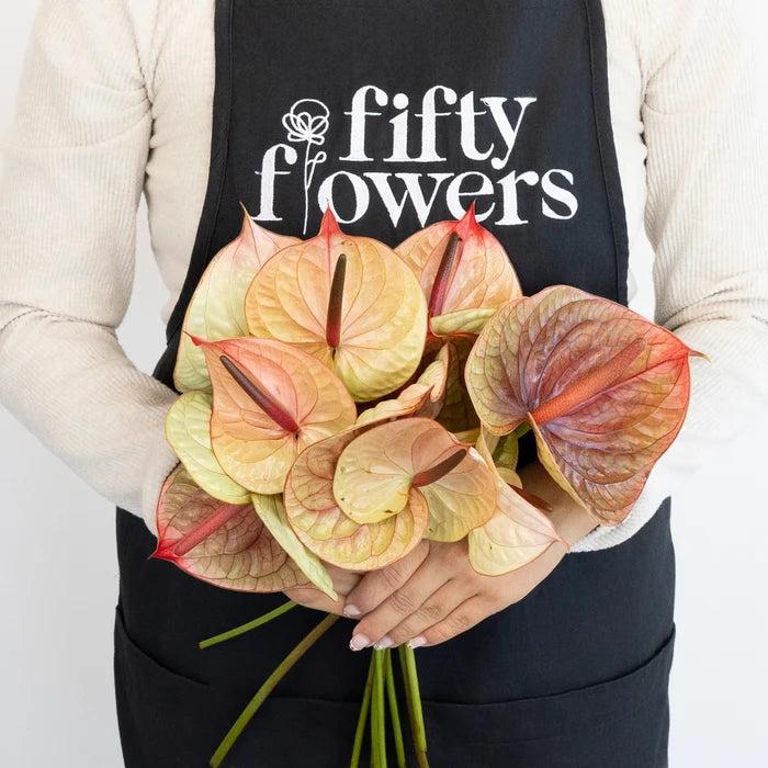 Dusty Rose & Olive Anthurium Flower Apron - Image