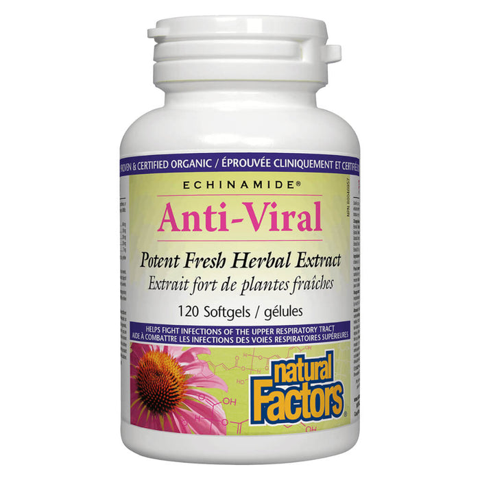 Bottle of Natural Factors Echinamide® Anti-Viral Herbal Extract 120 Softgels