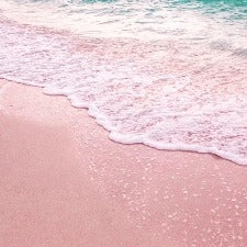 Fragrance Oil - Pink Sands (Yankee Candle Dupe)