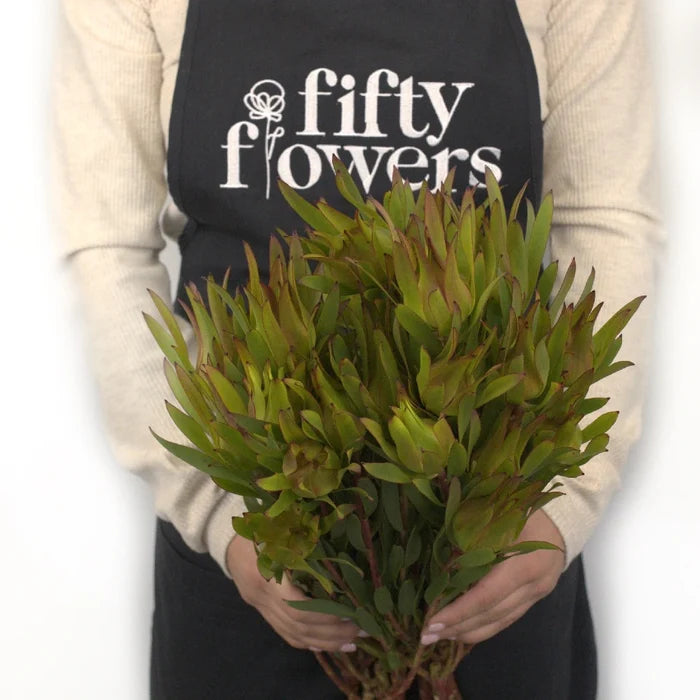 Mini Sandstorm Leucadendron Apron - Image