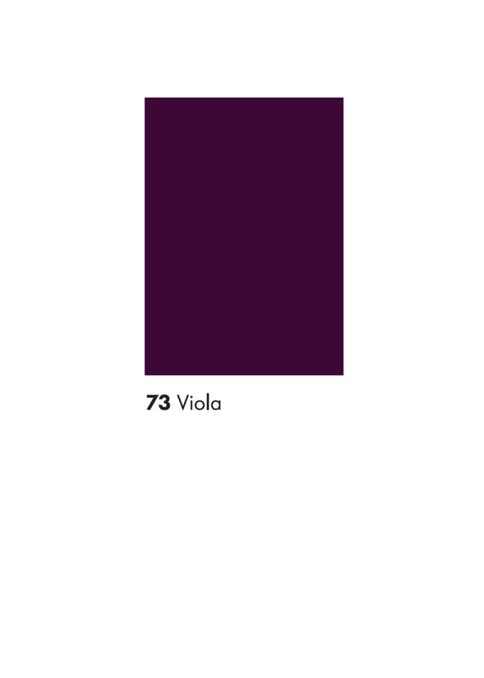 Youth 6 (SC) / Viola