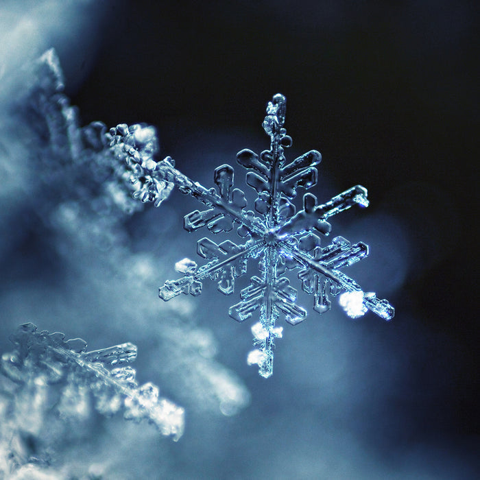 Sparkling Snowflake - EO & FO Blend 518