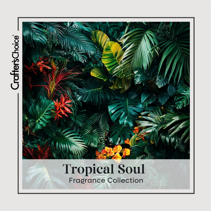 Tropical Soul Fragrance Oil Collection