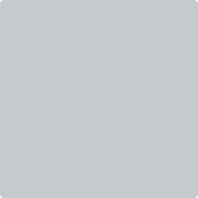 2132-60: Metallic Silver  a paint color by Benjamin Moore avaiable at Clement's Paint in Austin, TX.