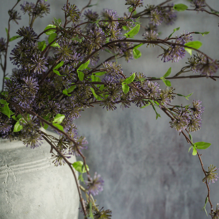 36" Purple Eucalyptus Seed Bush