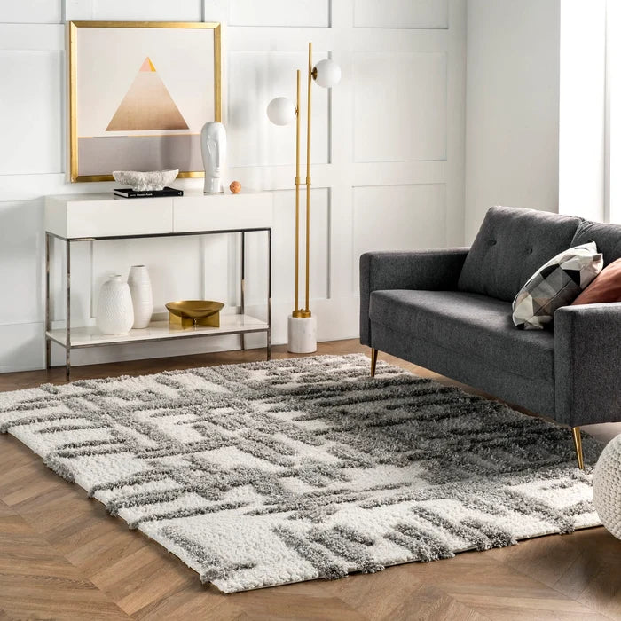4x6 Lydia High Low Modern Soft Shaggy Area Rug