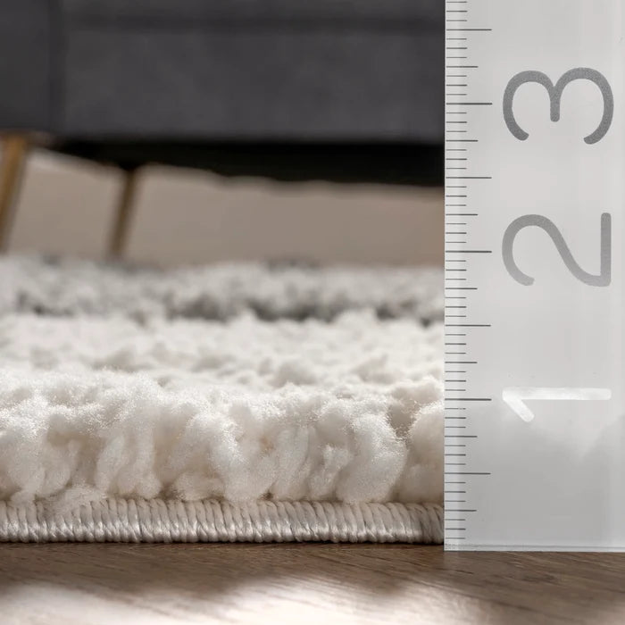 4x6 Lydia High Low Modern Soft Shaggy Area Rug