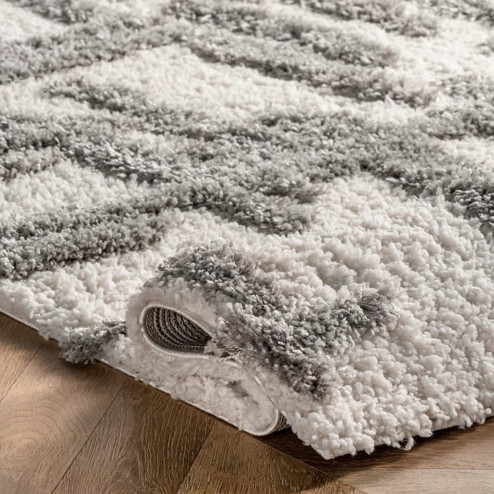 4x6 Lydia High Low Modern Soft Shaggy Area Rug