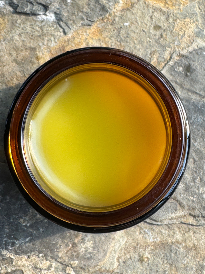 Fresh Infused Ponderosa Pine Salve 1 oz.
