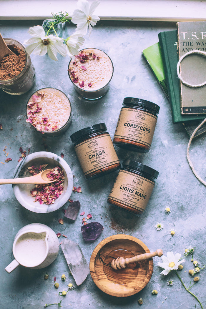 Adaptogenic Mushroom Set, Organic + Locally Grown | BUNDLE