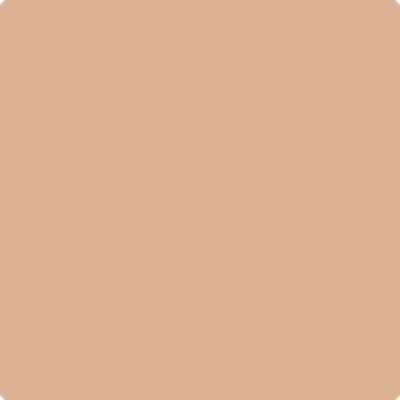 AF-205: Serendipity  a paint color by Benjamin Moore avaiable at Clement's Paint in Austin, TX.
