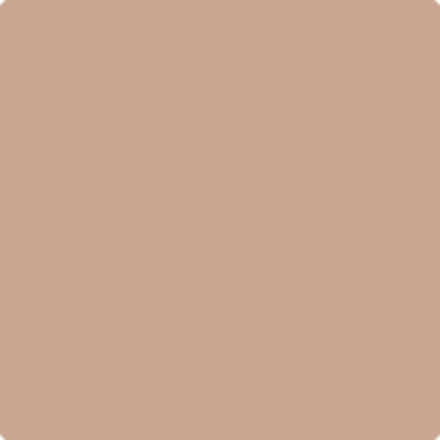 AF-245: Ipanema  a paint color by Benjamin Moore avaiable at Clement's Paint in Austin, TX.