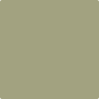 AF-405: Thicket  a paint color by Benjamin Moore avaiable at Clement's Paint in Austin, TX.
