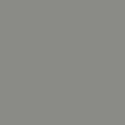 AF-710: Secret  a paint color by Benjamin Moore avaiable at Clement's Paint in Austin, TX.
