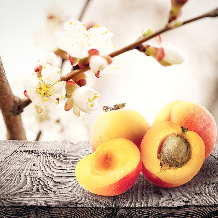 Apricot Freesia Fragrance Oil 155