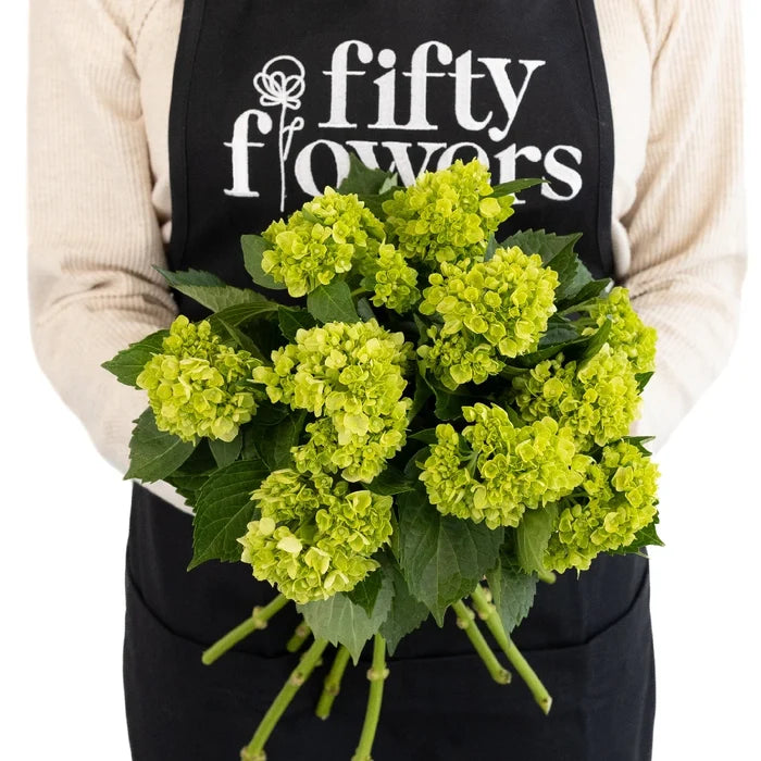 Baby Hulk Green Hydrangea Flower Apron - Image