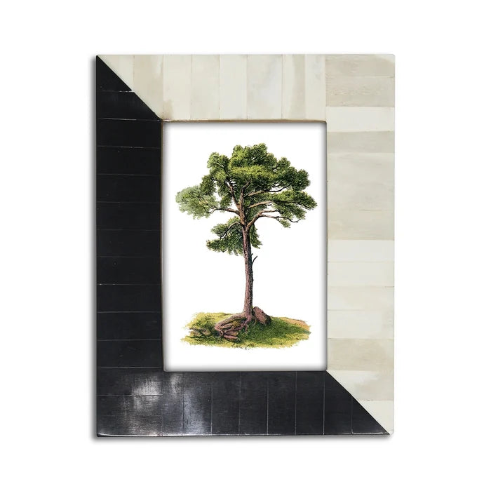 Black & White Photo Frame 4x6