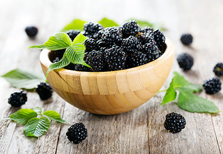 Blackberry Sage (SNC) Fragrance Oil 15010