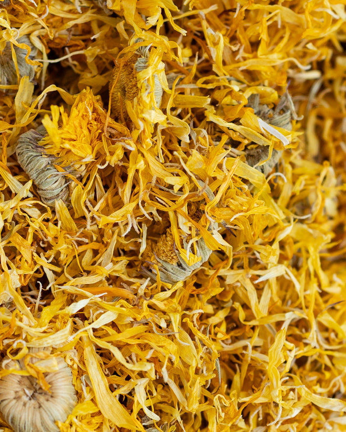 Close-up of dried saffron threads