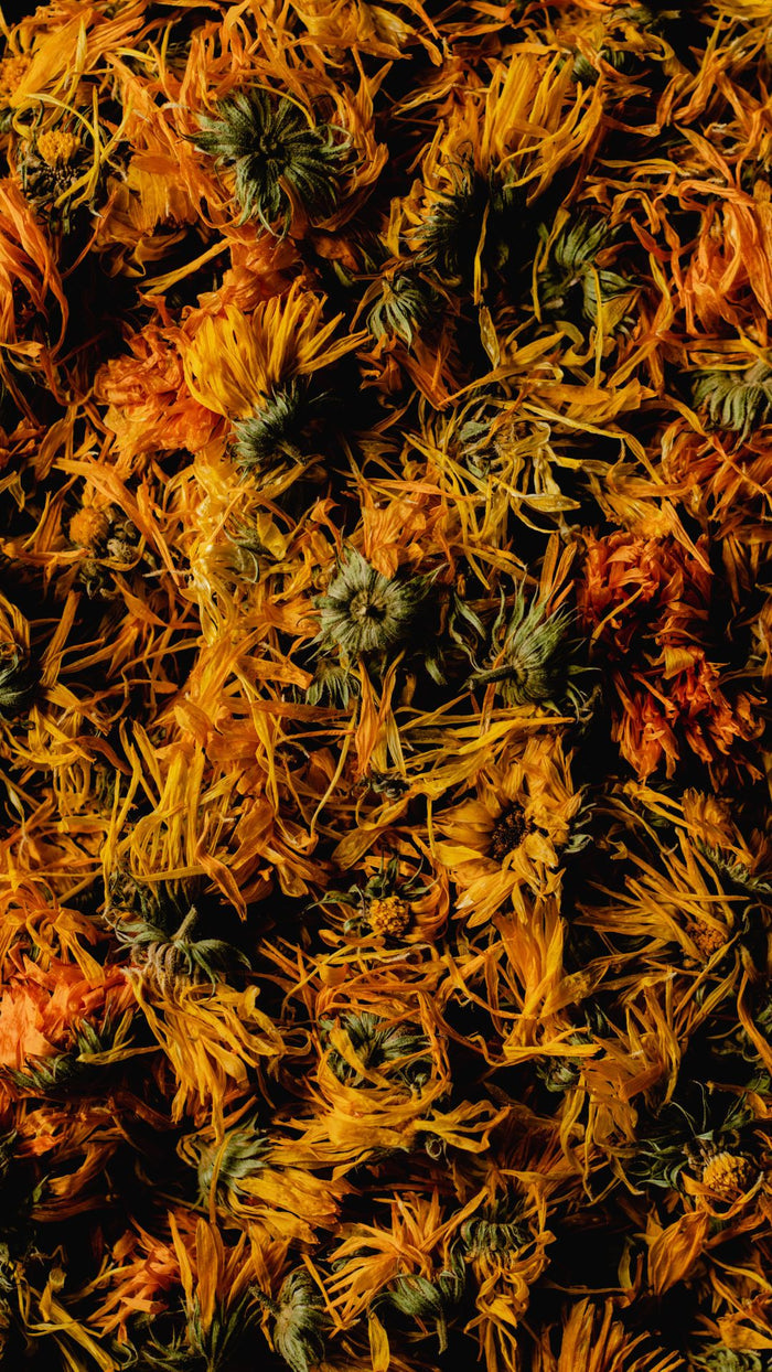 Calendula Whole Flowers, Organic 4 oz BULK BAG