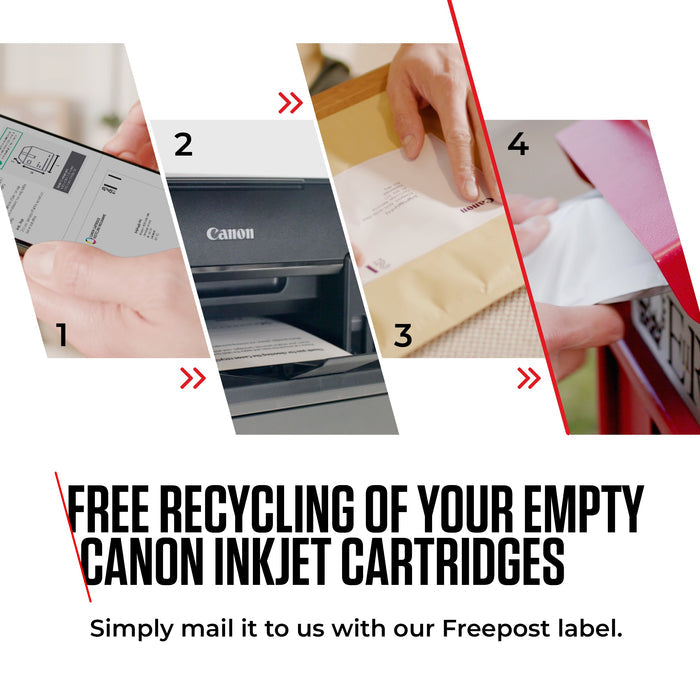 Canon PG-540L LARGE Black Printer Ink Cartridge 2 pack - 5224B001