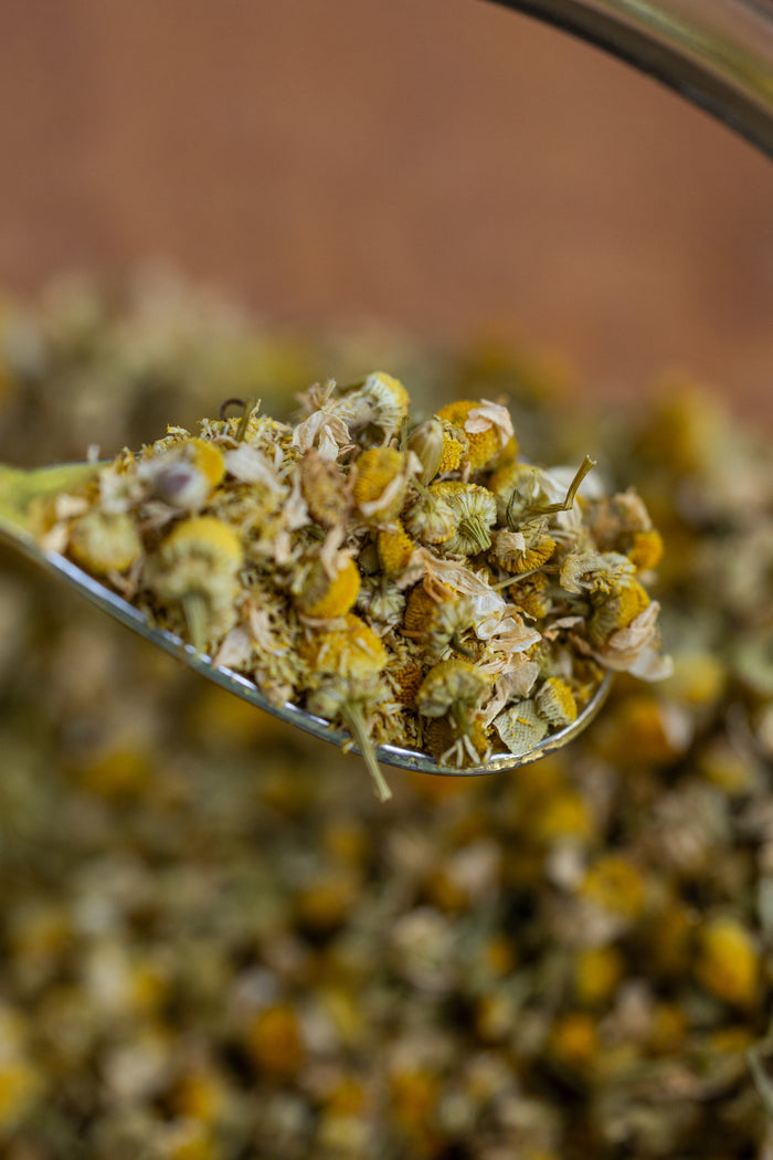 Dried chamomile flowers on a spoon with a blurred background