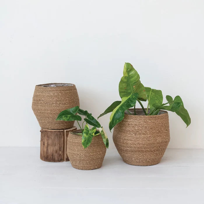 Decorative Woven Seagrass Baskets w/ Plastic Lining (3 Sizes)