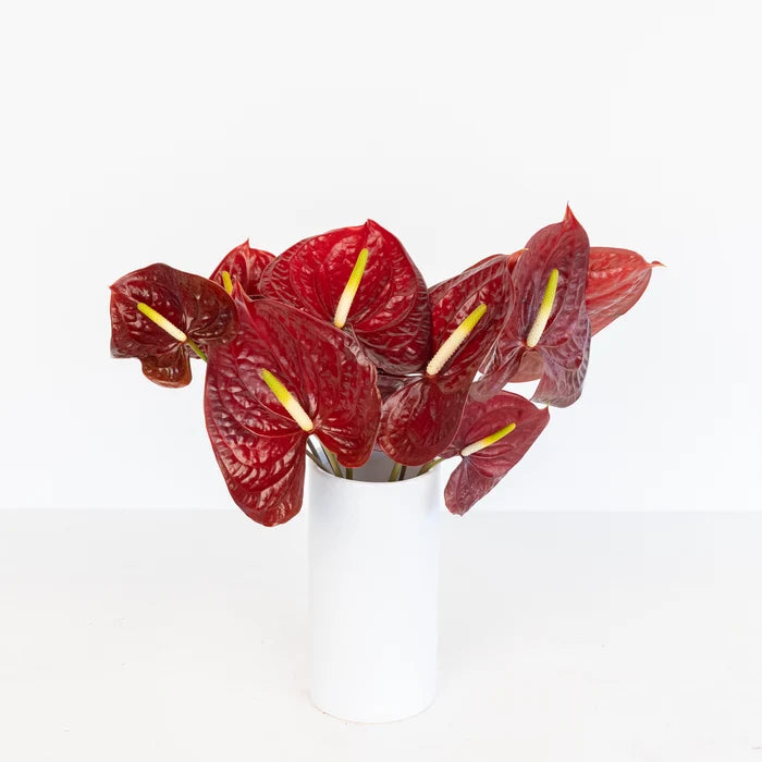 Deep Red Anthurium Flower Vase - Image