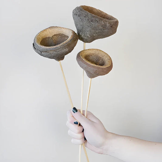 Dried Monkey Pods