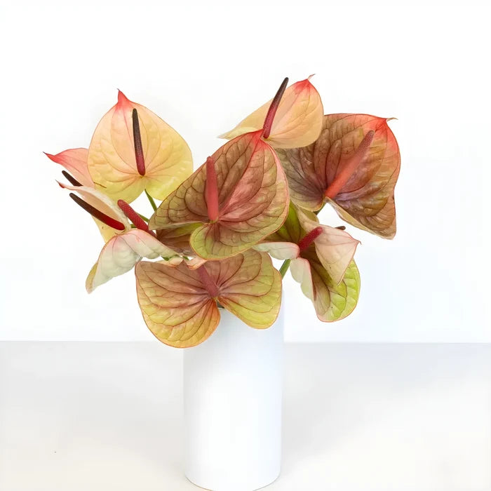 Dusty Rose Olive Anthurium Flower Vase - Image