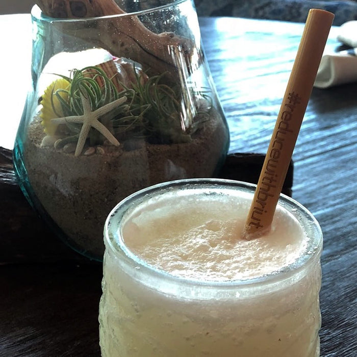 Briut Essentials Eco-Friendly Bamboo Straws