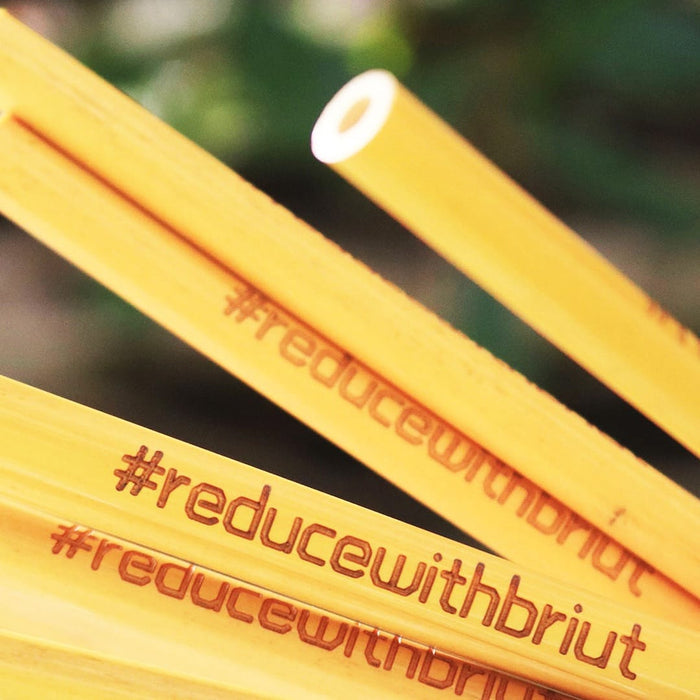 Briut Essentials Eco-Friendly Bamboo Straws