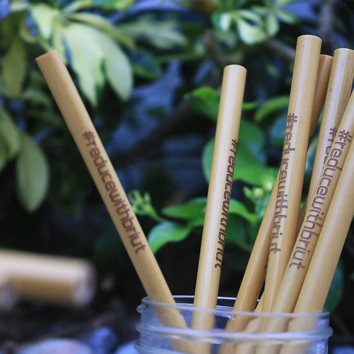 Briut Essentials Eco-Friendly Bamboo Straws
