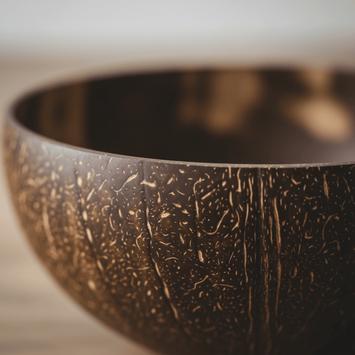 Briut Essentials Eco-Friendly Coconut Bowls