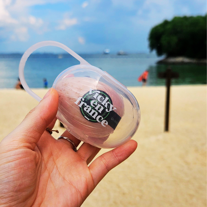 Egg Soap Case