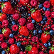 Fragrance Oil - Merry Berry Christmas (BBW Dupe)