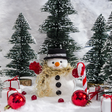 Fragrance Oil - Snowman Poop