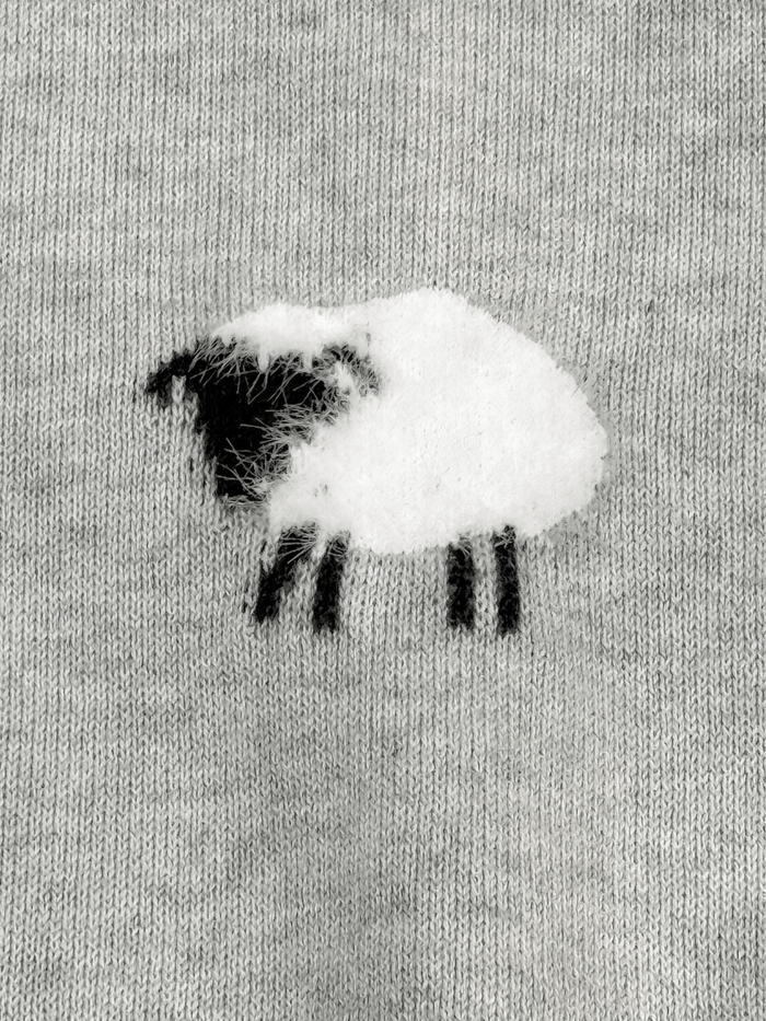 Close-up of Viverano Organics baby jumpsuit showing sheep embroidery on soft gray organic cotton wear fabric