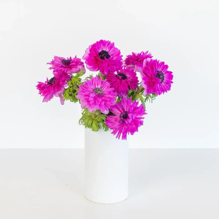 Fuschia Levante Anemones Vase - Image