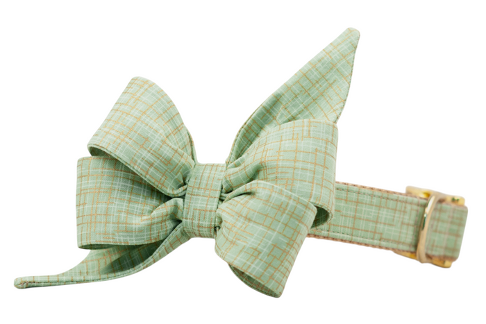 Jadeite Green Belle Bow Dog Collar - Crew LaLa