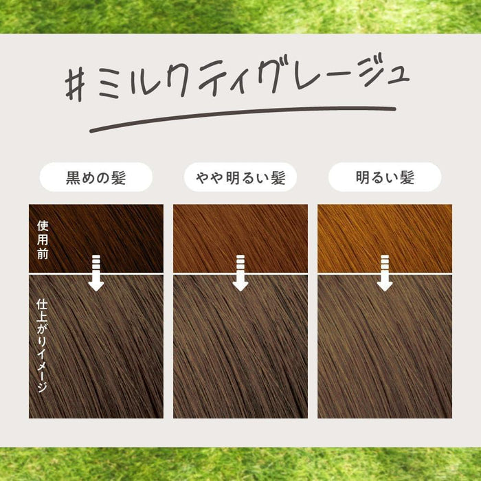 Kao Liese Bubble Color