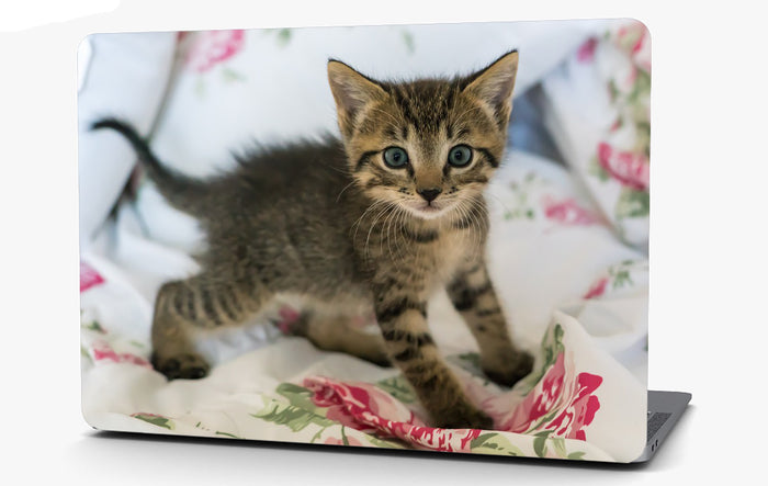 Kitten on a Blanket Vinyl Laptop Computer Skin Sticker Decal Wrap Macbook Various Sizes