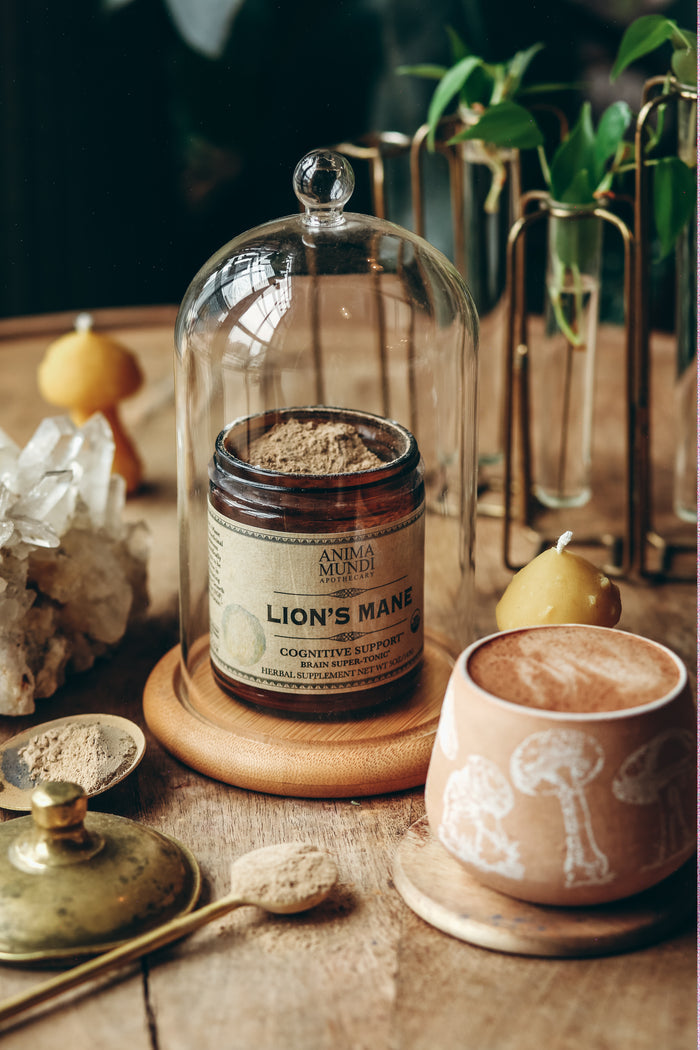 LION'S MANE | Organic Mushroom Powder, Focus Tonic*